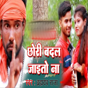 Album Chori Badal Jaito Na from 
