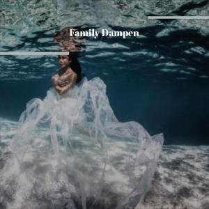 Album Family Dampen from Various