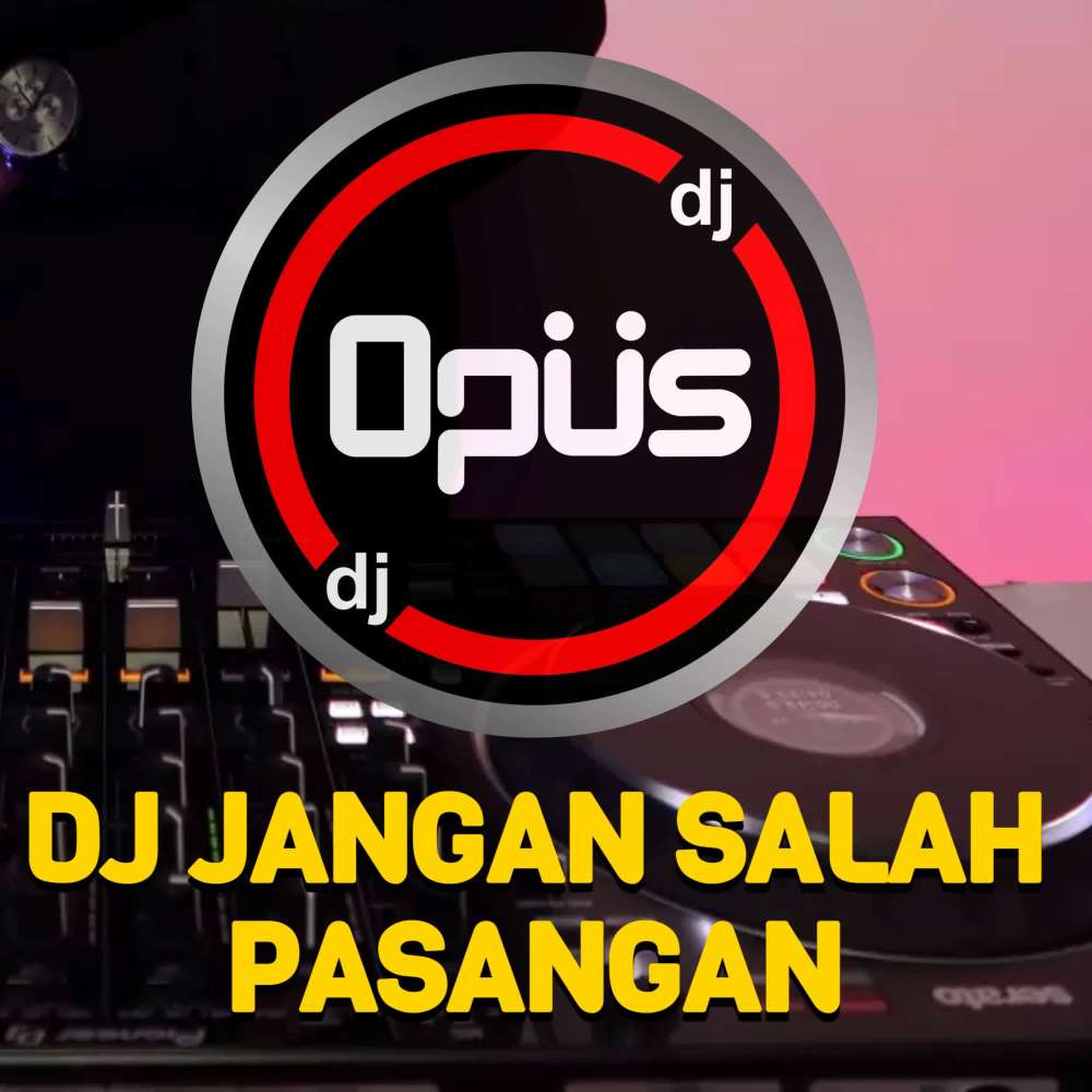 DJ Jangan Salah Pasangan