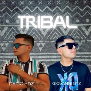 收聽Giovanni Gtz的Tribal (feat. Darío Hdz)歌詞歌曲