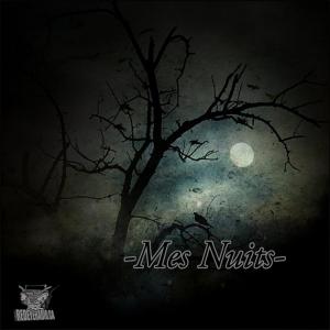 ดาวน์โหลดและฟังเพลง Mes Nuits(feat. Dialekt & Fess Gotchu) (Explicit) พร้อมเนื้อเพลงจาก Lyrikal Picasso