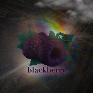 Berried Alive的专辑Blackberry