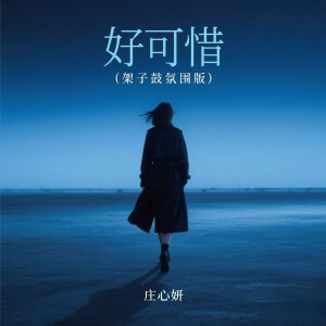 Album 好可惜(架子鼓氛围版) from Ada (庄心妍)