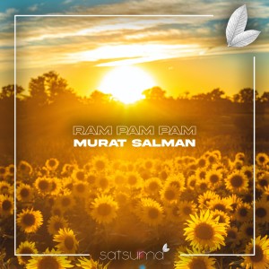 ดาวน์โหลดและฟังเพลง Ram Pam Pam (Radio Mix) พร้อมเนื้อเพลงจาก Murat Salman
