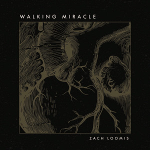 收聽Zach Loomis的Walking Miracle (feat. Mike Donehey)歌詞歌曲