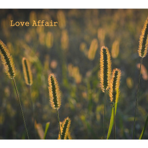 Listen to 가을아 안녕 song with lyrics from 양갱이
