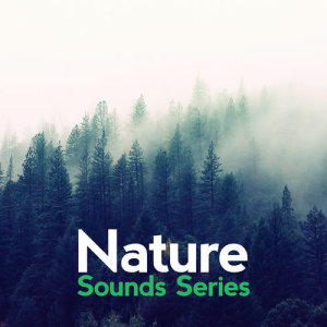 ดาวน์โหลดและฟังเพลง Water Channel พร้อมเนื้อเพลงจาก Nature Sound Series