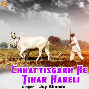 Listen to Chhattisgarh Ke Tihar Hareli song with lyrics from Jay Khande