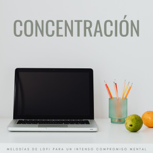 Album Concentración: Melodías De Lofi Para Un Intenso Compromiso Mental from Concentración de ondas alfa