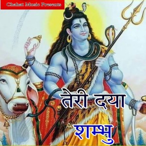 Rakhi的專輯Teri Daya Shambhu