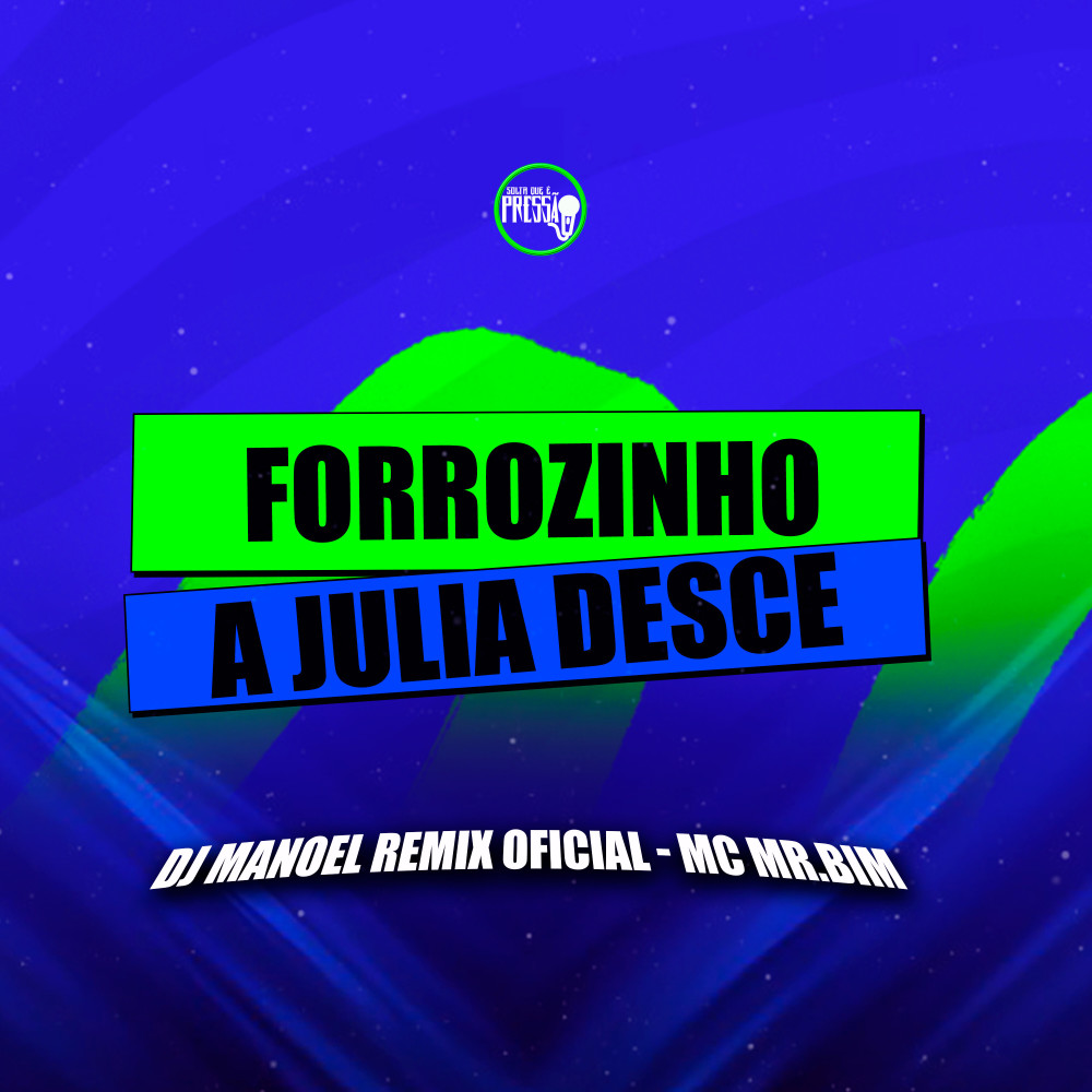 A Julia Desce [Forrozinho] (Explicit)