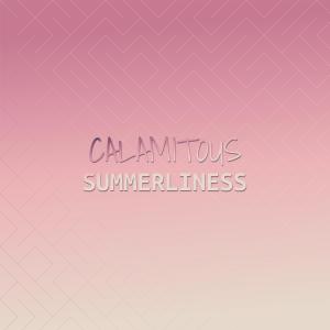 Album Calamitous Summerliness from Various