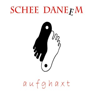 ดาวน์โหลดและฟังเพลง Kartn Jim พร้อมเนื้อเพลงจาก Schee Daneem
