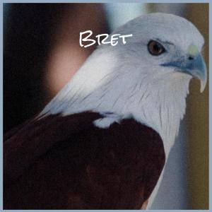 Various Artists的專輯Bret