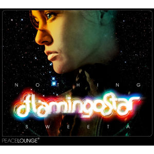 ดาวน์โหลดและฟังเพลง Leave Me Alone พร้อมเนื้อเพลงจาก Flamingo Star