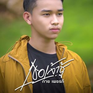 ดาวน์โหลดและฟังเพลง เธอเจ้าชู้ พร้อมเนื้อเพลงจาก กาย เพชรภี