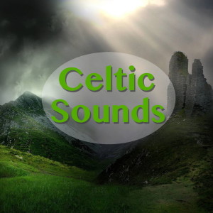 Listen to Turtle Dove song with lyrics from Paddy O'Connor