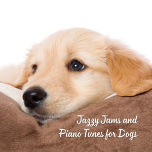 Jazzy Jams and Piano Tunes for Dogs