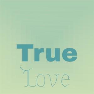 收听The Castaways的Lavender Popcorn歌词歌曲