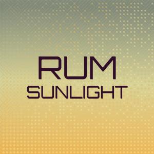 Various Artists的專輯Rum Sunlight