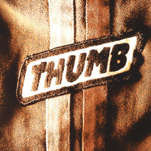 ดาวน์โหลดและฟังเพลง Fed Up พร้อมเนื้อเพลงจาก Thumb