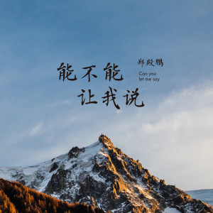 鄭殿鵬的專輯能不能讓我説