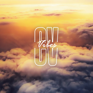 Album CV Vibes from Various