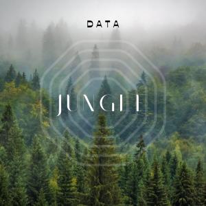 Album Jungle (Explicit) oleh Data