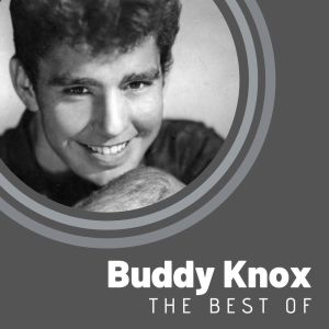 ดาวน์โหลดและฟังเพลง Taste Of The Blues พร้อมเนื้อเพลงจาก Buddy Knox