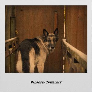 Listen to Handcuff Whatever song with lyrics from Kaic Berny
