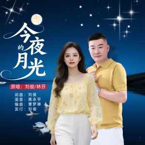 Album 今夜的月光(对唱版) from 林芬
