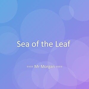 收听Mr Morgan的Sea of the Leaf歌词歌曲