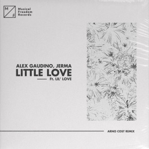 收聽Alex Gaudino的Little Love (feat. Lil' Love) (Arno Cost Remix)歌詞歌曲