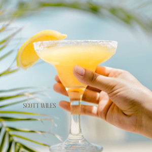 Album Feel Good Grooves & Brighten Your Sunny Moments from Scott Wiles