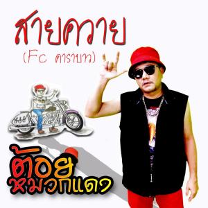 Listen to สายควาย (FC คาราบาว) song with lyrics from ต้อย หมวกแดง
