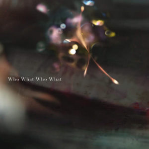收聽凜冽時雨的Who What Who What歌詞歌曲