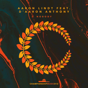 Album Nobody from Aaron Lindt