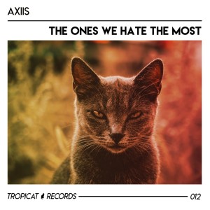 ดาวน์โหลดและฟังเพลง To The Ones We Hate The Most พร้อมเนื้อเพลงจาก Axiis