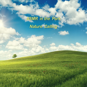 收听네이쳐콜링的ASMR 공원의 새소리 ASMR Park歌词歌曲