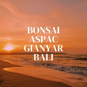 Dengarkan lagu BONSAI ASPAC GIANYAR BALI nyanyian Syah dengan lirik
