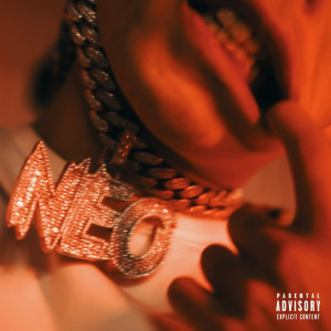 Album YOUNG HOOD STAR from NEO Fox
