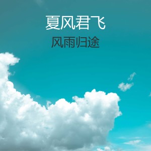 ดาวน์โหลดและฟังเพลง 后来遇见他 พร้อมเนื้อเพลงจาก 夏风君飞