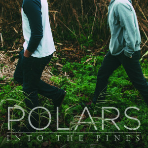 收聽Polars的Into the Pines歌詞歌曲