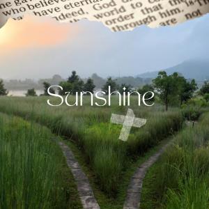 收聽Will Kellum的SunShine歌詞歌曲