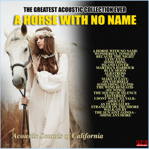 收聽Acoustic Moods Ensemble的A Horse With No Name歌詞歌曲