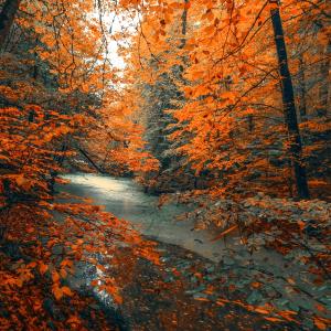 Listen to River Flow in You song with lyrics from Luciano Miller