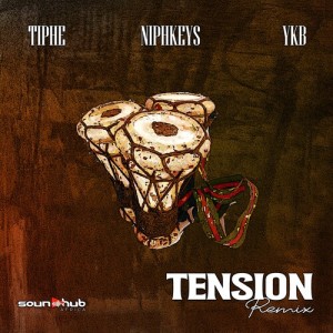 Album Tension (Remix) oleh Niphkeys