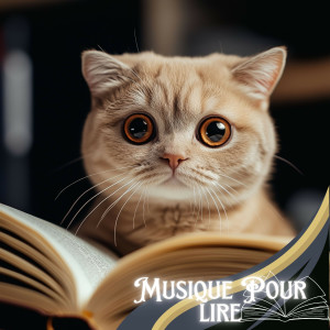 Musique Pour Étudier的專輯Ambiance de Lecture