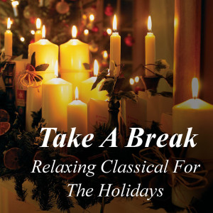 Listen to VI song with lyrics from Oslo Chamber Orchestra