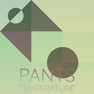 Various Artists的专辑Pants Temperature